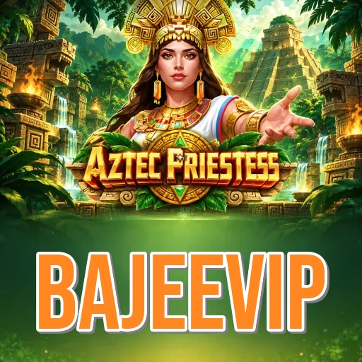 Screenshot 3 - bajeevip Settings